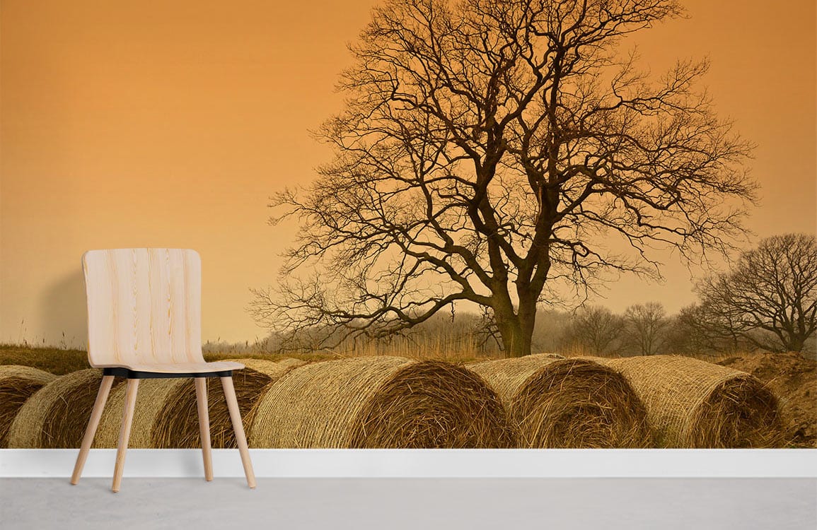 autumn view of meadow with bare trees wall murals for home