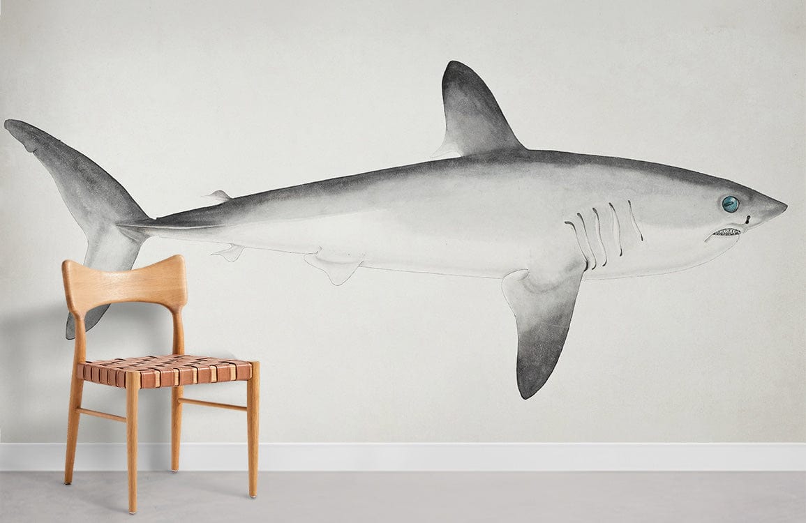Porbeagle Shark Wallpaper Mural Room