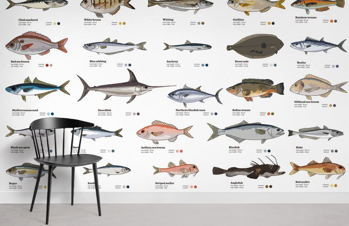Fish Types Ocean Wallpaper Mural Room