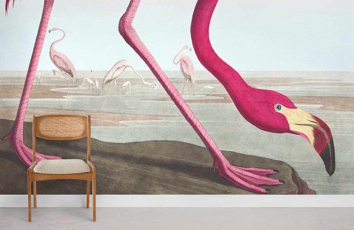 Pink Pelican Bird Wallpaper Mural Room