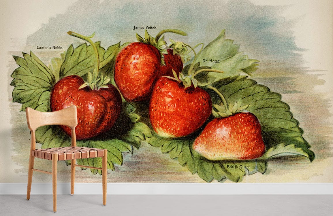 Vintage Strawberry Mural Wallpaper Room