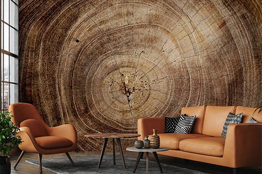 crack wood wallpaper mural