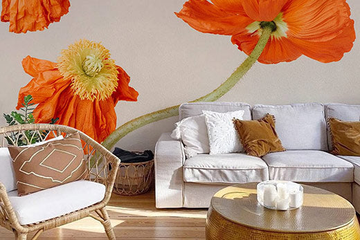 Orange Poppy Flowers Wallpaper