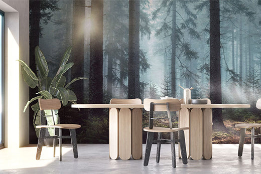 Natural Forest Wallpaper Murals for Interior Design: 13 Top Ideas to Get Inspired