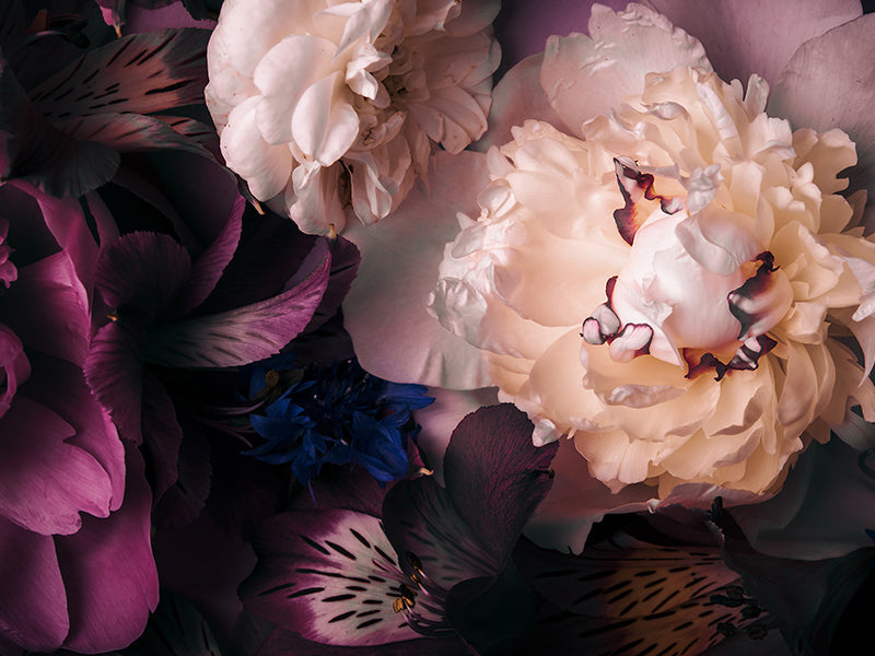 Dark Floral Wallpaper & Wall Murals