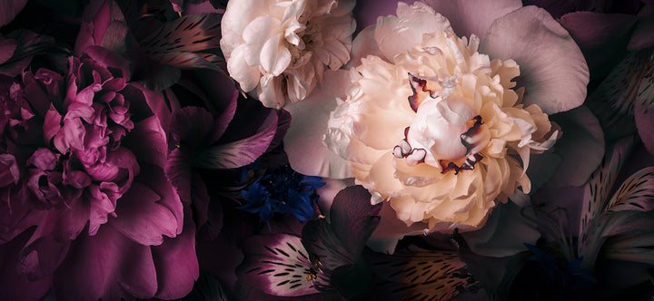 Dark Floral Wallpaper & Wall Murals