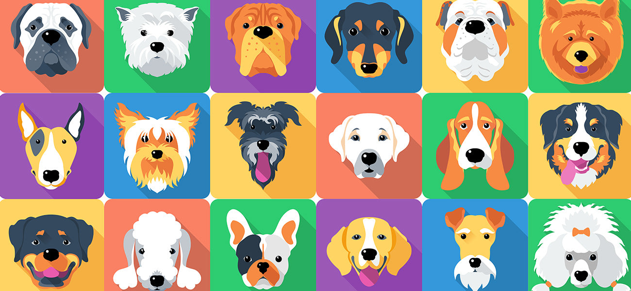 dog wallpaper mural