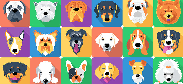Dog Wallpaper & Wall Murals for Walls