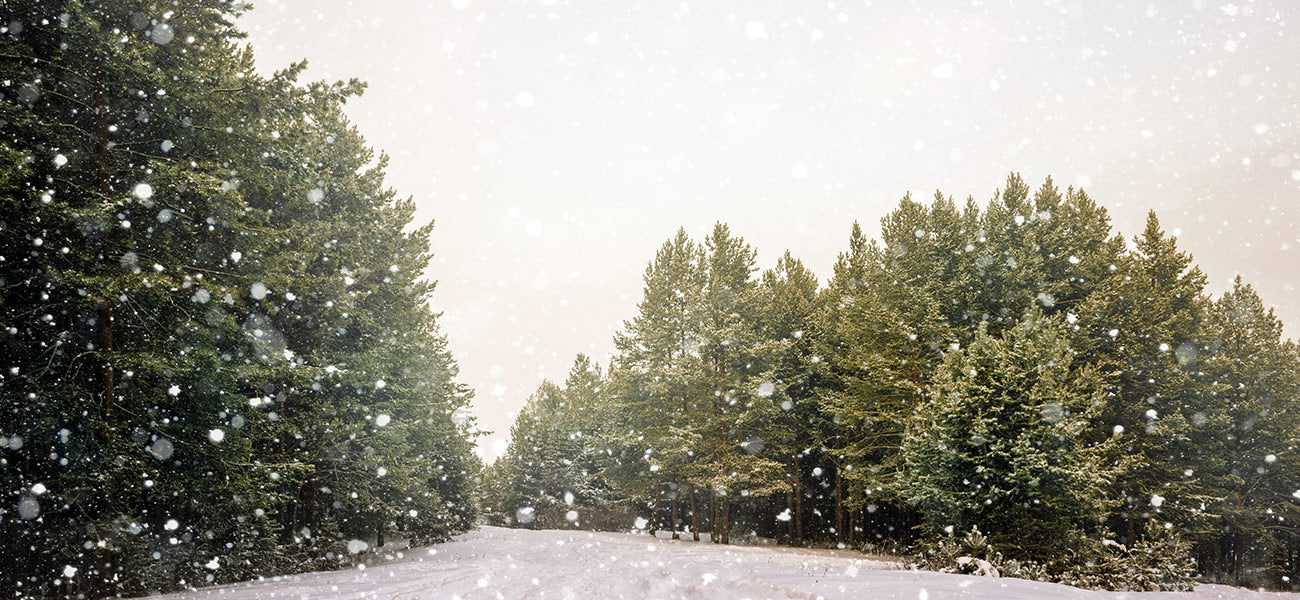 Snow Landscape Wallpaper Mural