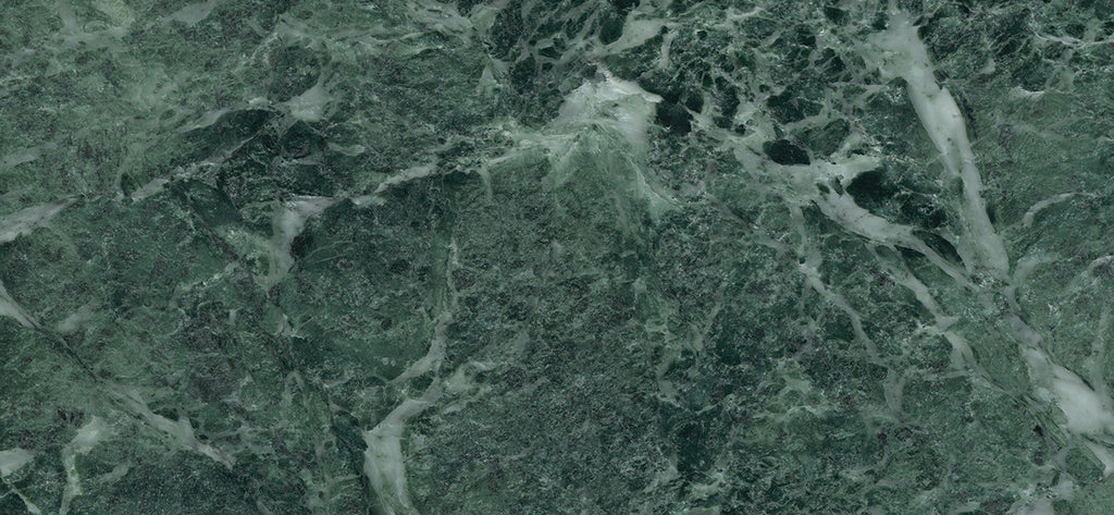 Giant Octopus Wallpaper Mural | Animal Wallpaper | Ever Wallpaper UK