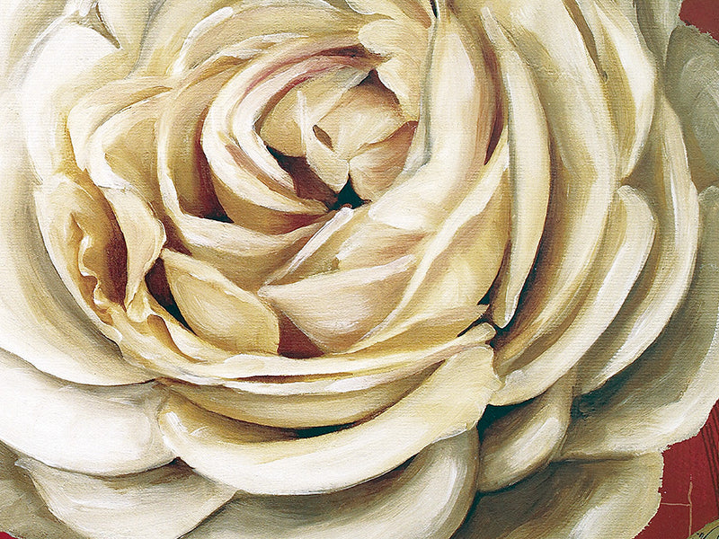Large Floral Wallpapers & Wall Murals for Home