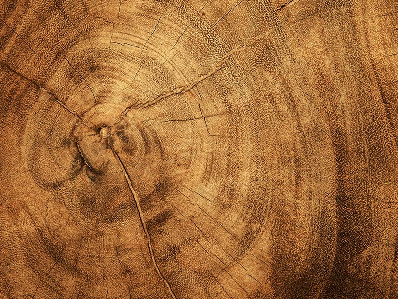 Wood Effect Wallpapers & Wall Murals