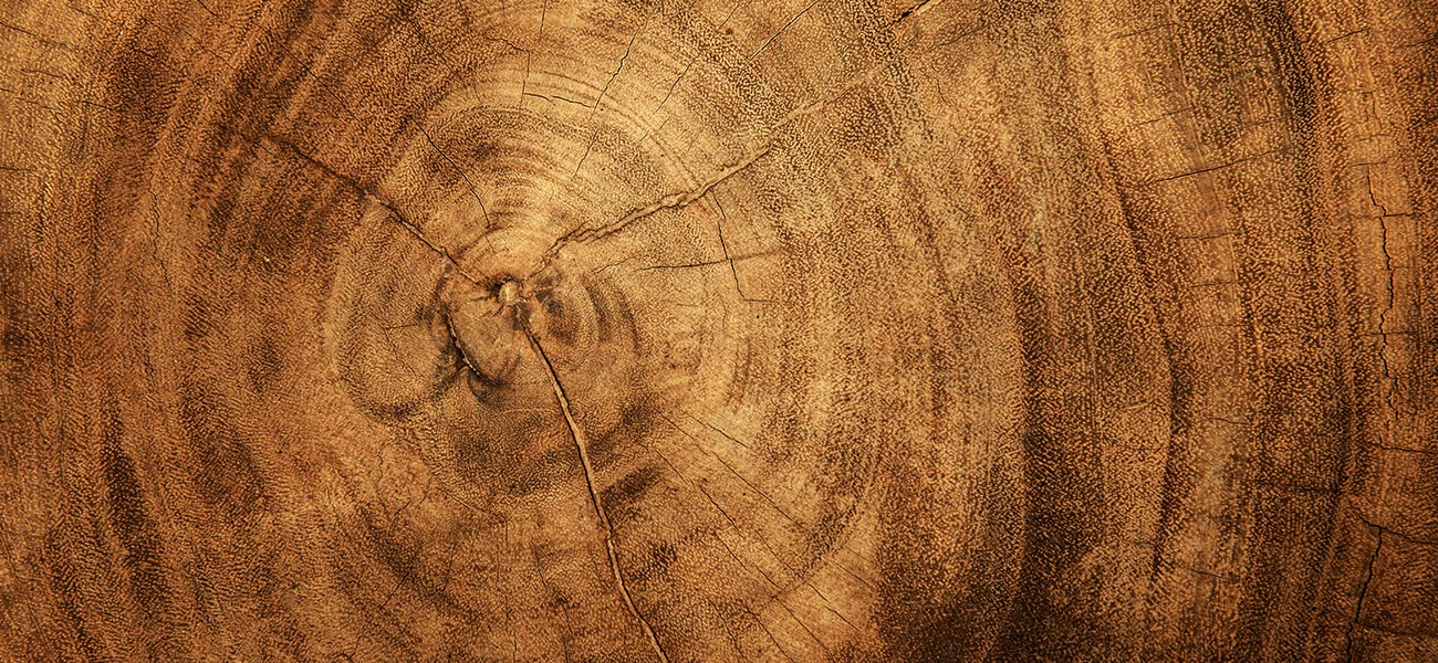 wood effect wallpaper mural
