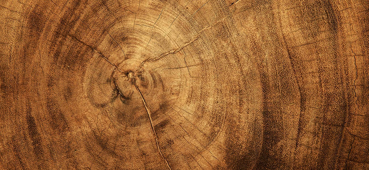 Wood Effect Wallpapers & Wall Murals
