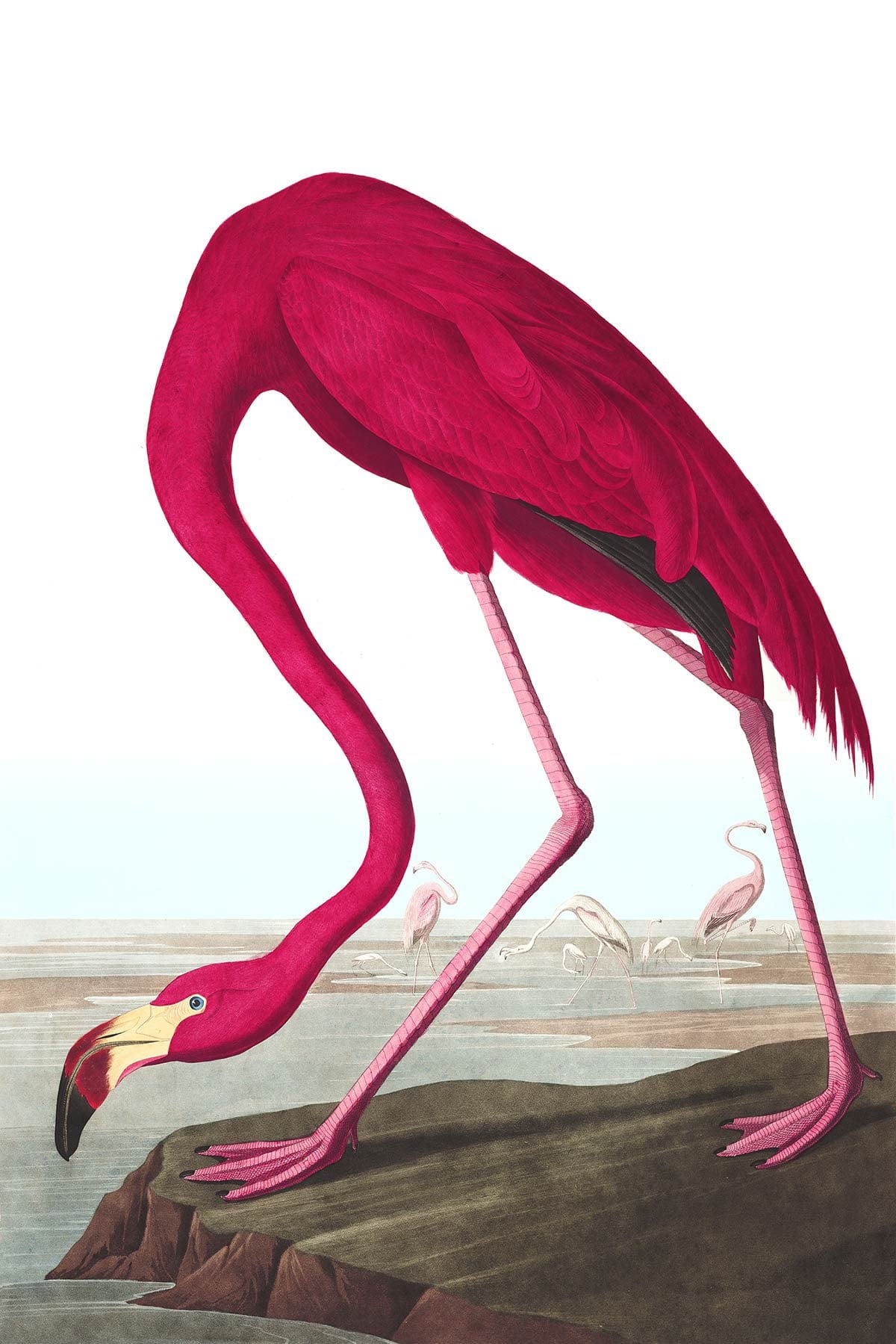 Elegantly Illustrated Pink Flamingo Mural Wallpaper for Stylish Interiors Décor