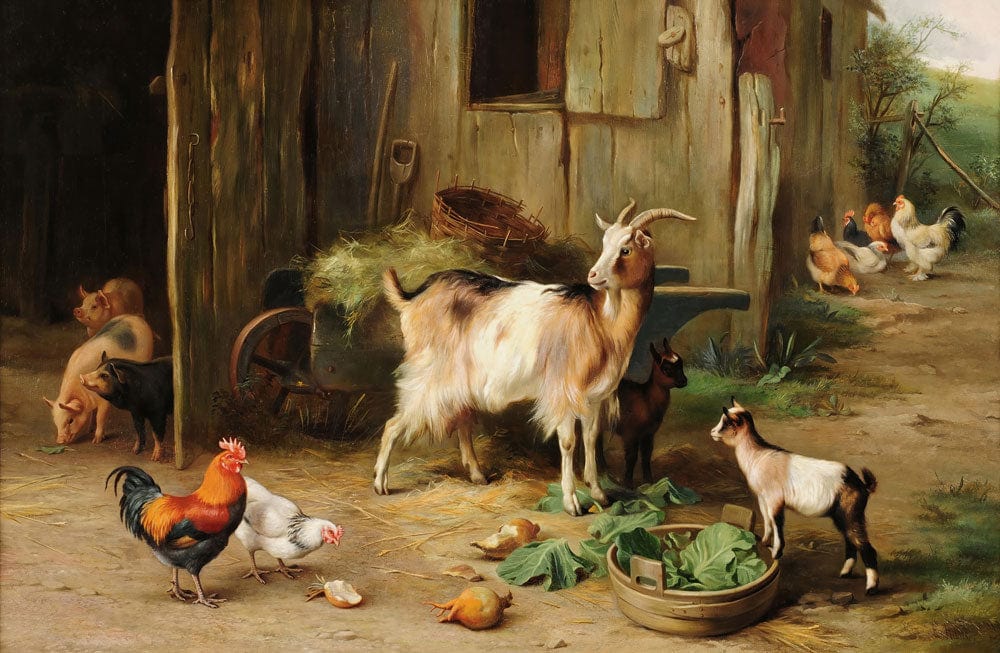 Rustic Farmyard Animals Mural Wallpaper: Vintage Countryside Scene with Goats and Chickens