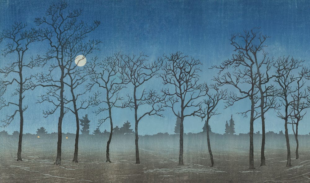 Midnight Mist Blue Woodland Silhouette Wallpaper, Tranquil Tree Landscape Design