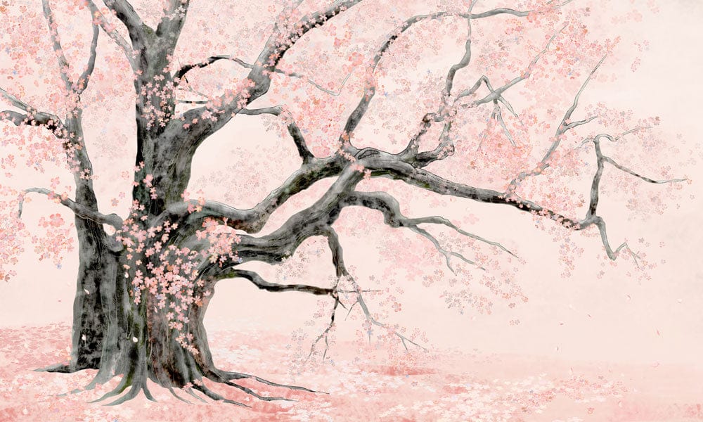 Elegant Cherry Blossom Mural Wallpaper in Soft Pink Japanese Watercolour Style