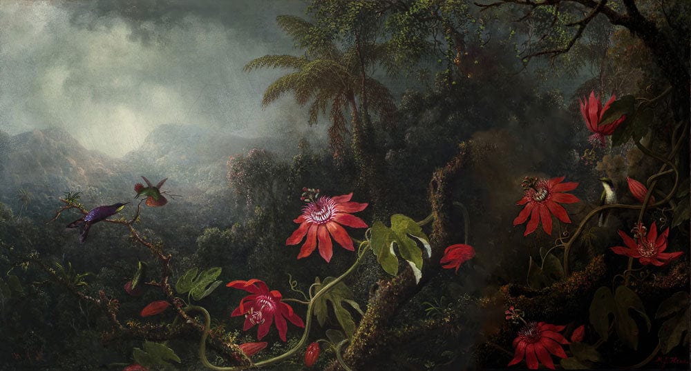 Vintage Tropical Mural Wallpaper with Exotic Red Flowers and Lush Green Foliage