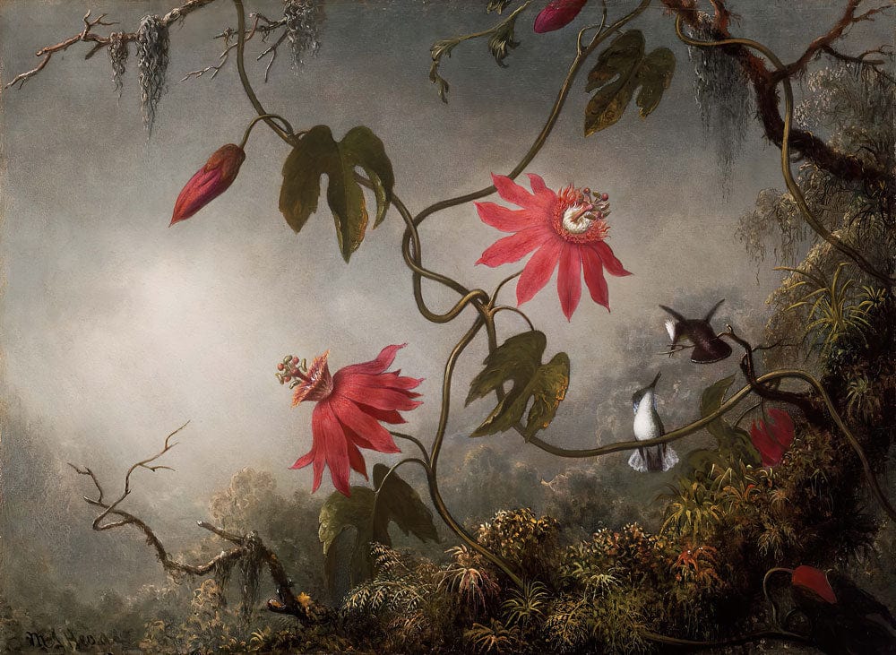 Vintage Botanical Mural Wallpaper with Red Flowers and Hummingbirds Design
