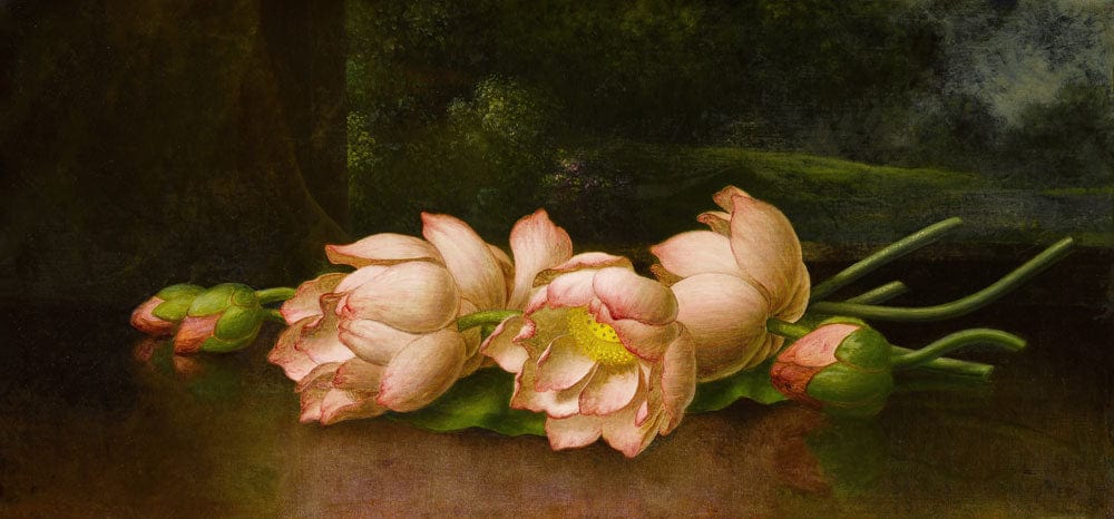 Elegant Vintage Floral Mural Wallpaper with Romantic Pink Peony Blooms Design
