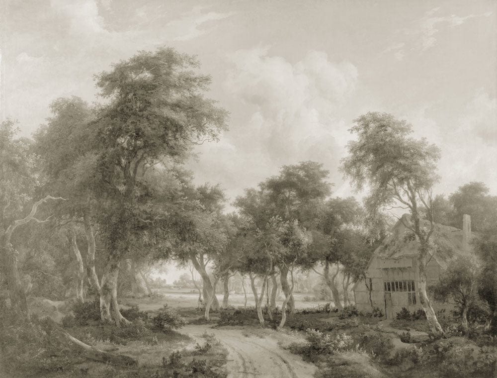 Rustic Sepia Woodland Landscape Wallpaper: Vintage Countryside Serenity Decor Mural