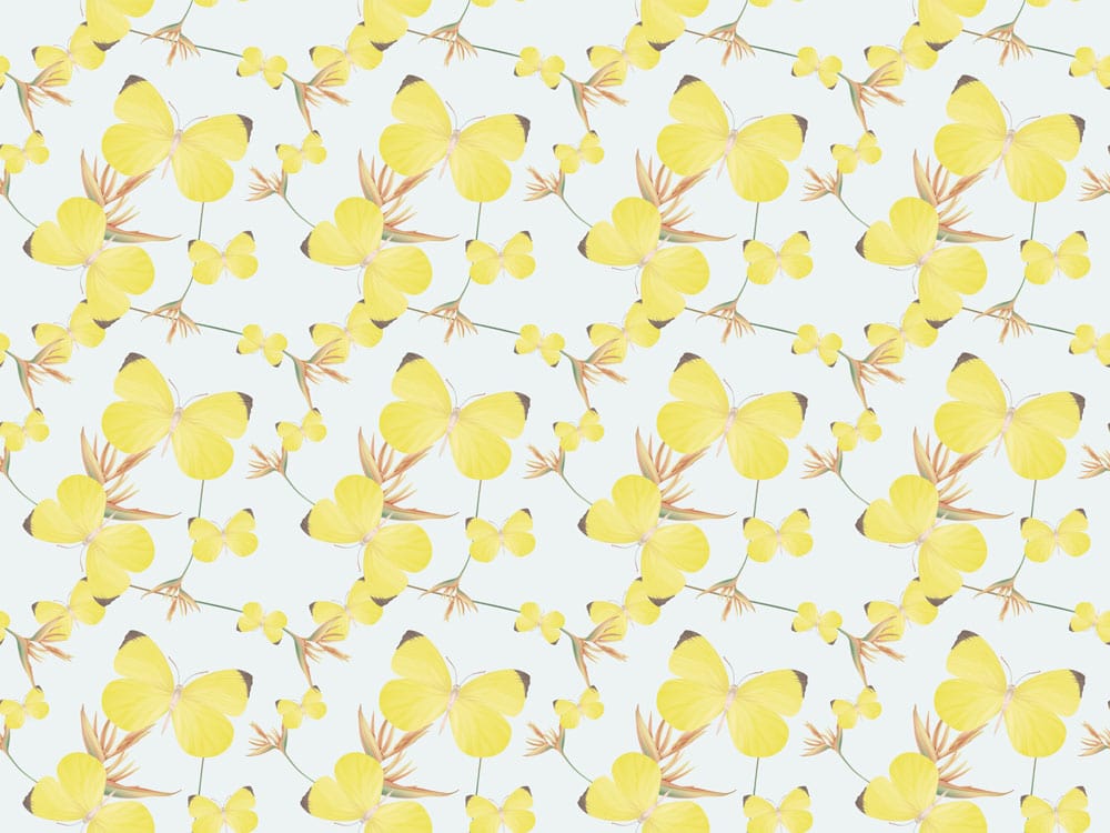 Sunny Yellow Butterfly Bliss Floral Pattern Wallpaper Mural - Nature Inspired Decor