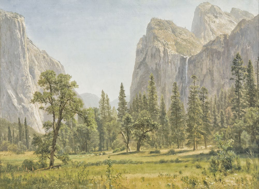 Majestic Mountain Landscape Mural Wallpaper in Green and Earth Tones