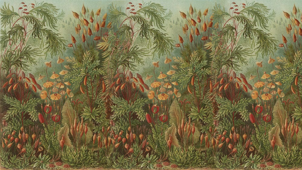 Verdant Grove Mural Wallpaper