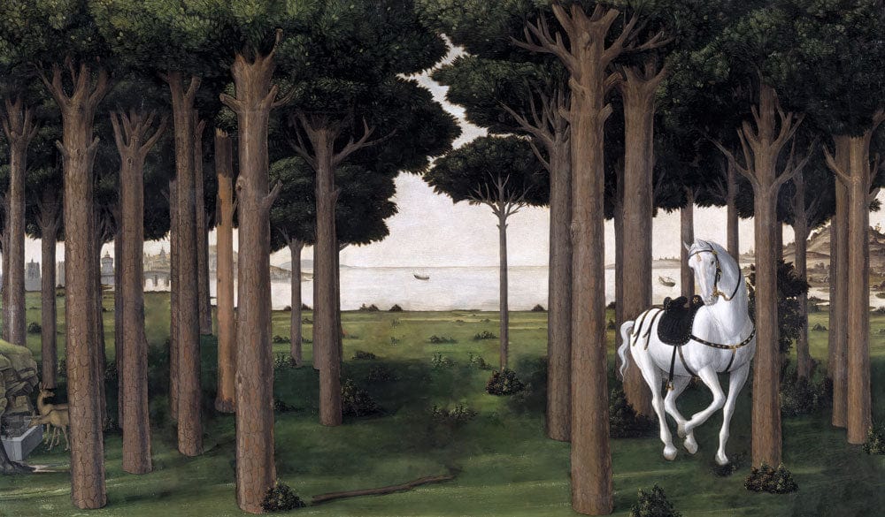 Enchanted Forest Mural Wallpaper Featuring Majestic White Horse in Woodland Panorama