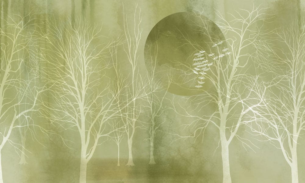 Enchanting Green Forest Mist Mural Wallpaper with Ethereal Tree Design