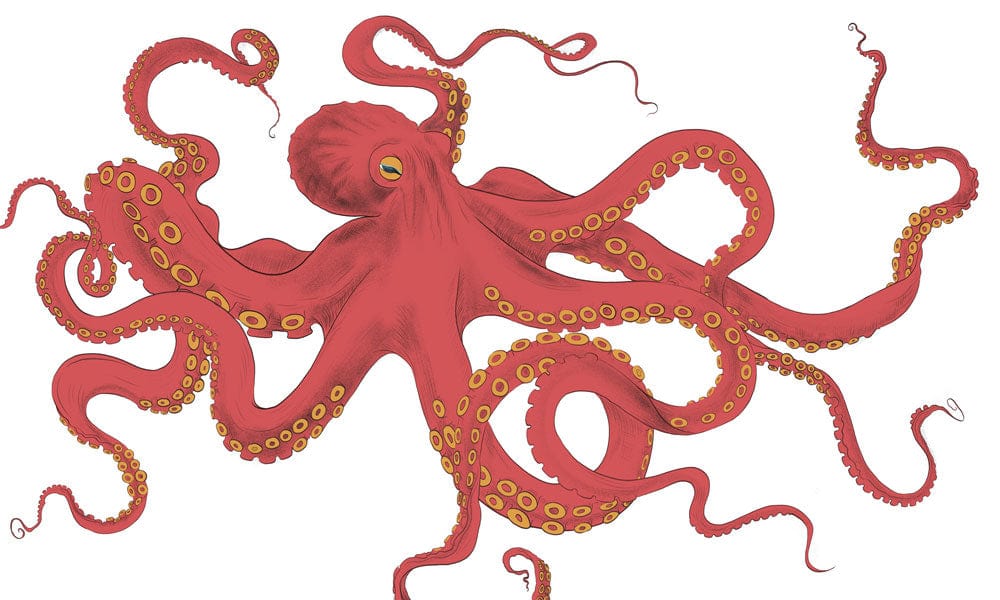Vibrant Red Octopus Coastal Mural Wallpaper - Nautical Theme Decor