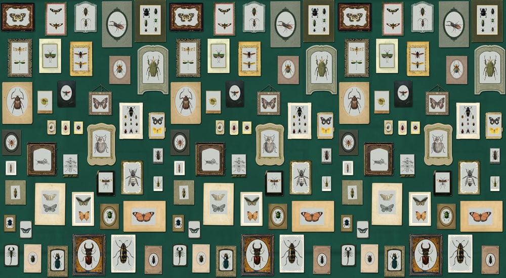 Vintage Insect Gallery Green Wallpaper: Retro Framed Nature Art Deco Design