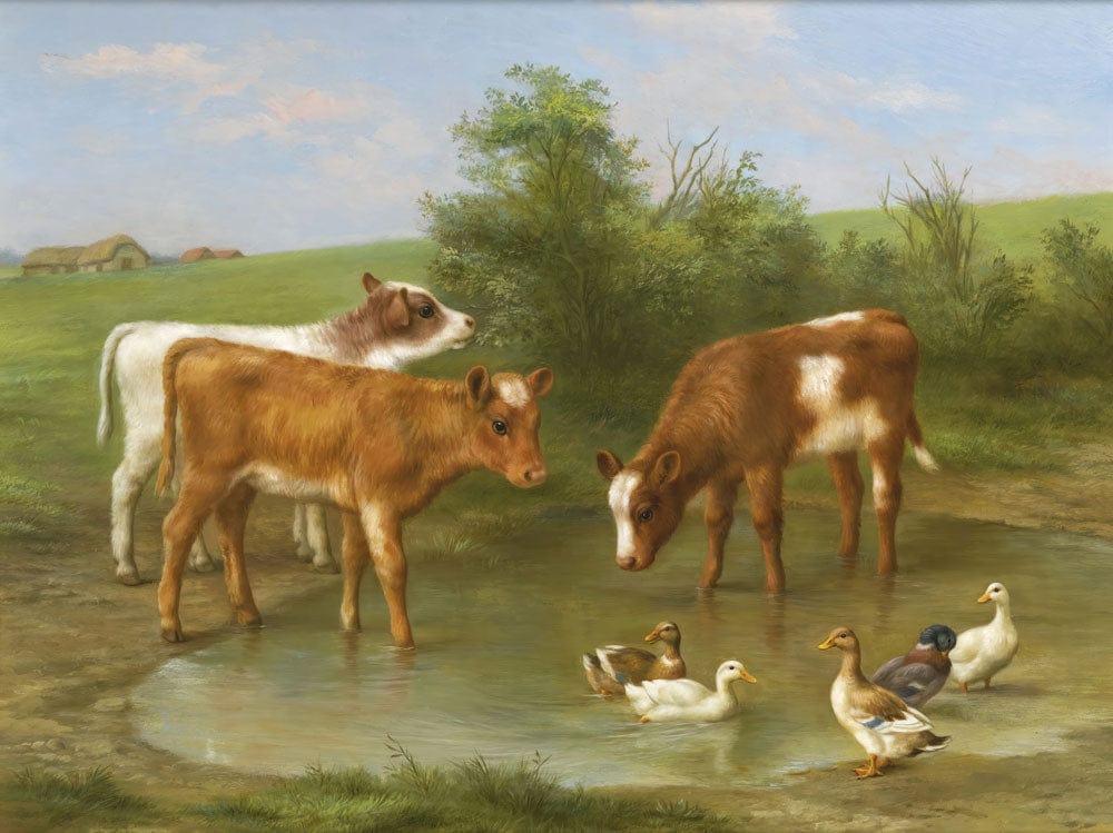 Charming Countryside Calves and Ducks Rustic Pastoral Mural Wallpaper Design
