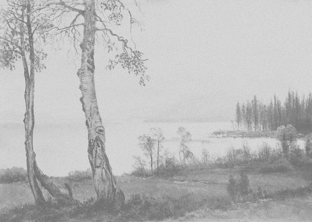 Grey Tones Serene Landscape Mural Wallpaper - Tranquil Nature Scene Design