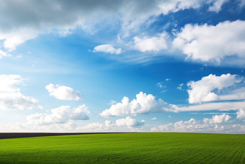 Tranquil Bright Meadow Sky Mural Wallpaper
