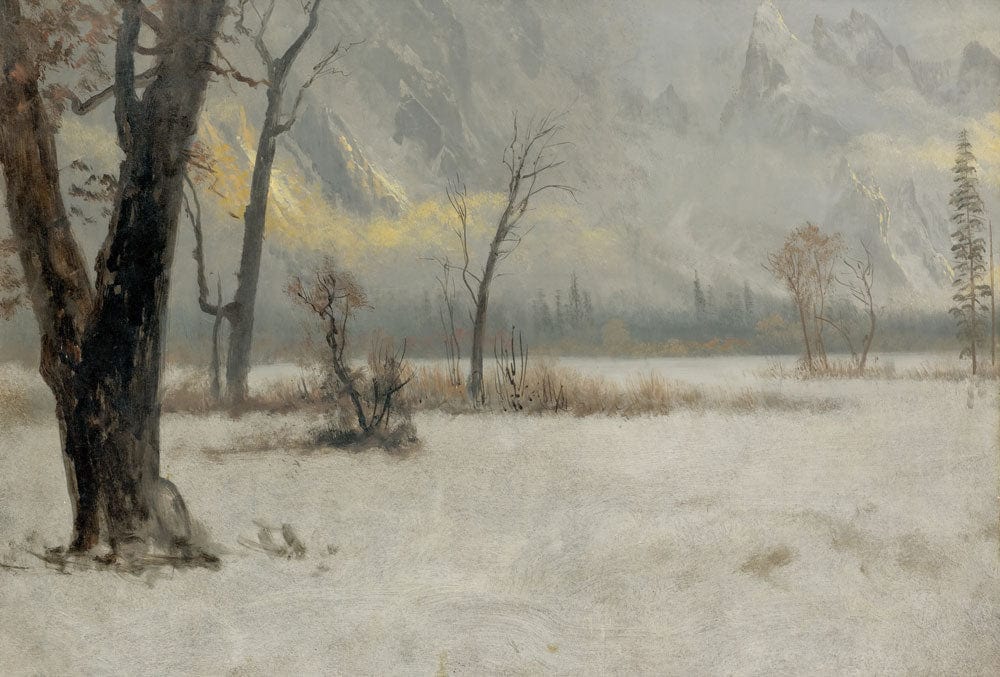 Misty Mountain Landscape Mural Wallpaper in Subtle Grey Tones for Serenity