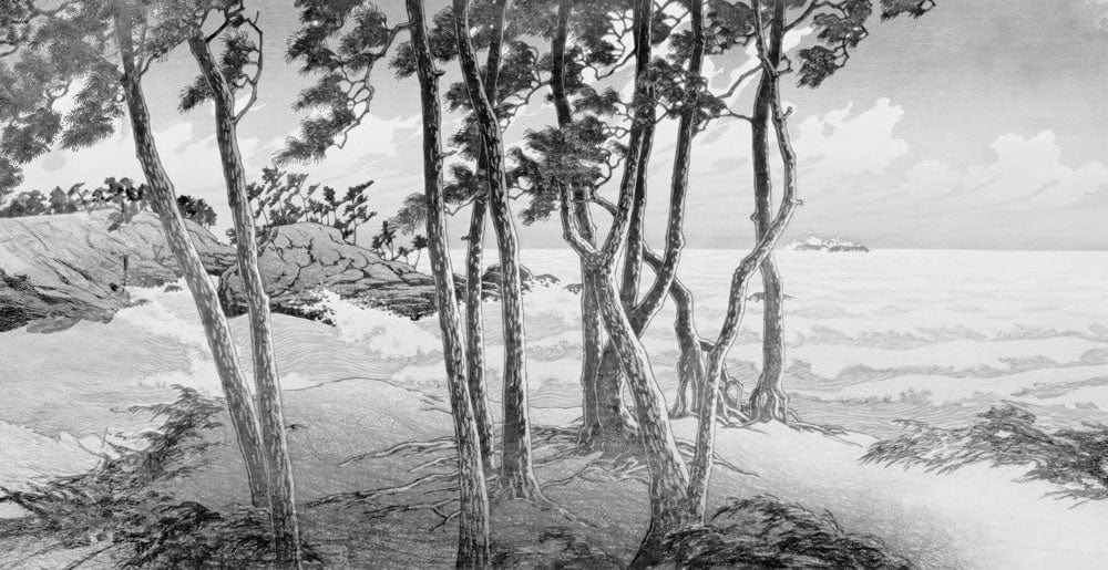 Monochrome Coastal Forest Landscape Mural Wallpaper in Grey Tones - Nature Scene