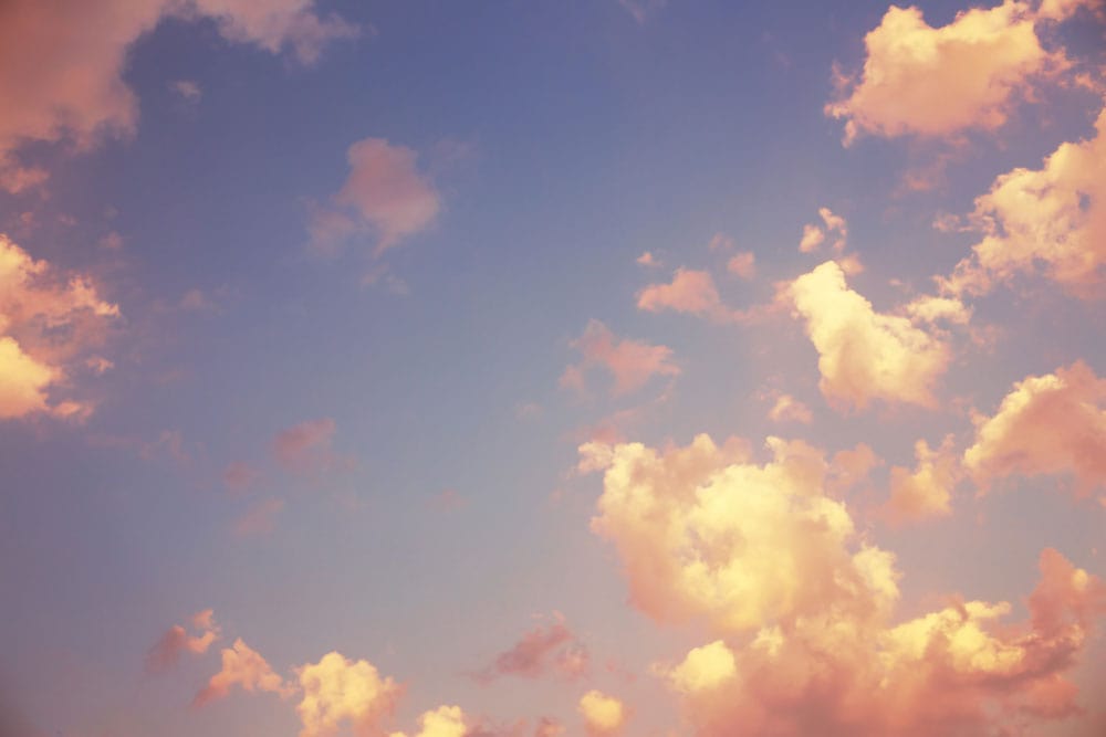 Rosy Dusk Dream Mural Wallpaper