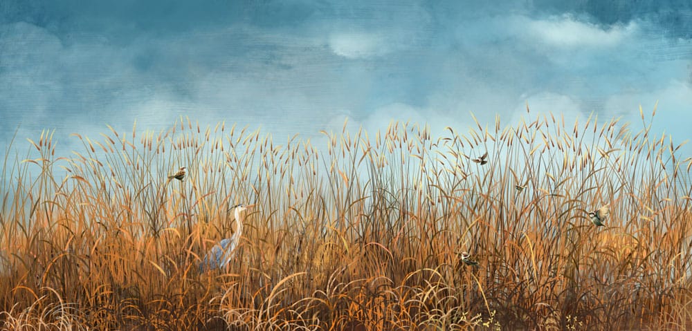 Tranquil Waterscape Mural Wallpaper with Birds in Autumnal Grass Scene