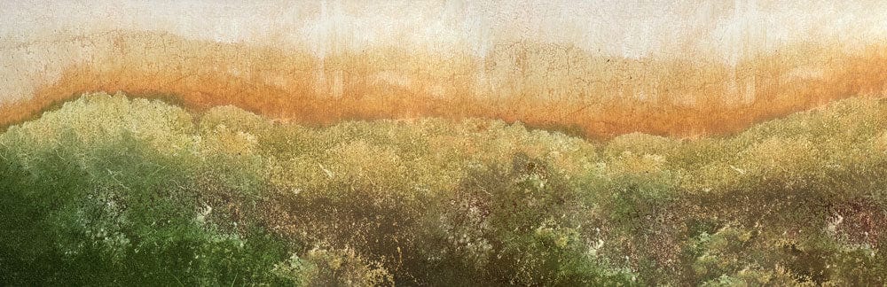 Rustic Autumn Forest Textured Mural Wallpaper in Earthy Green Tones