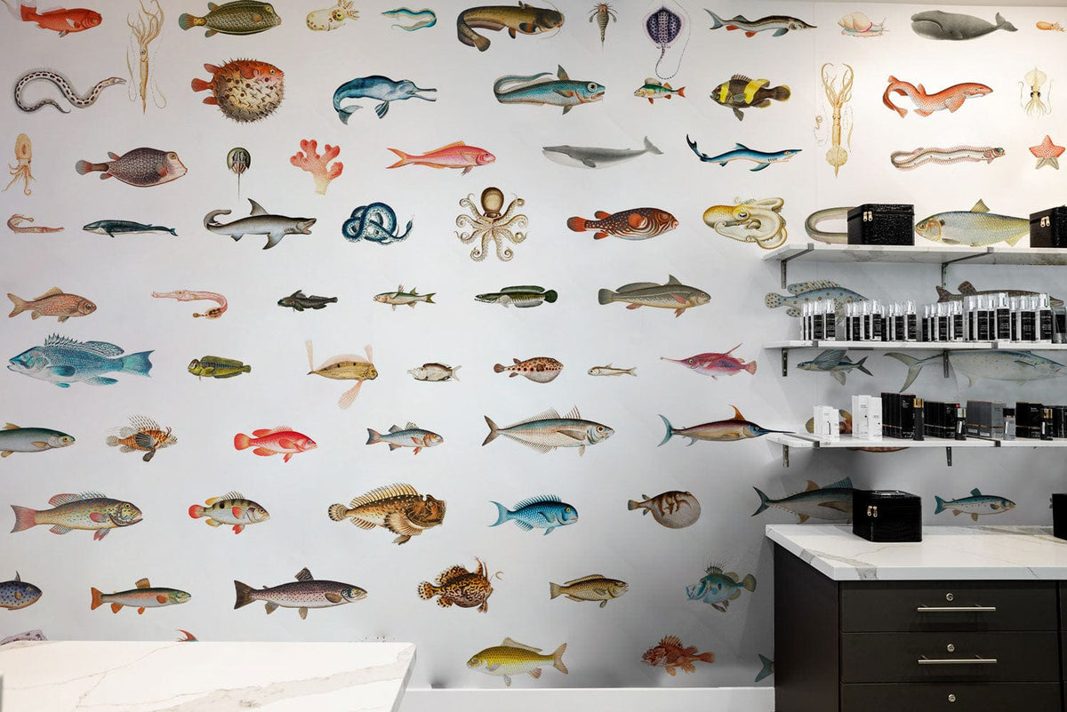 Colourful marine life wallpaper with exotic fish, white shelves, black cabinets, and marble countertop in kitchen.