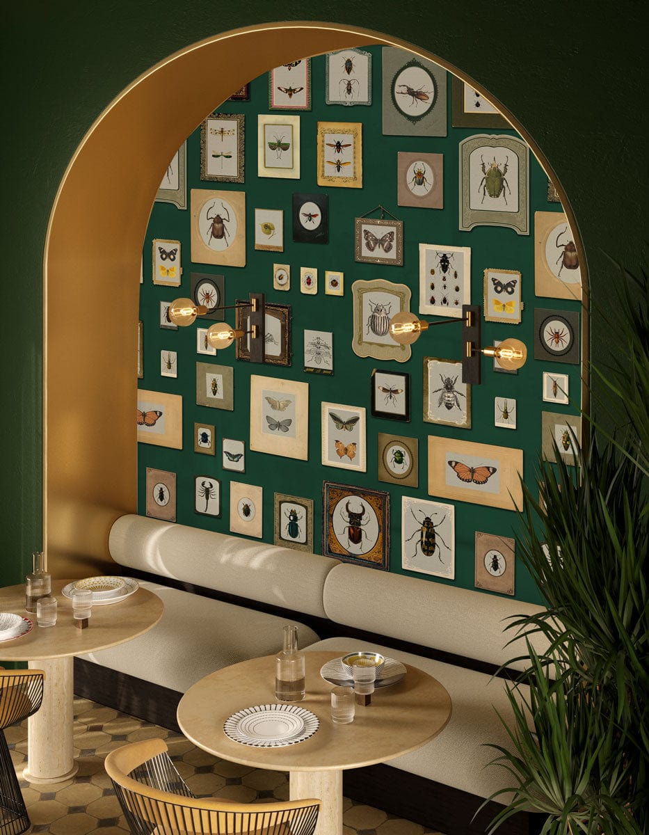 Vintage Insect Gallery Green Wallpaper in dining area with retro framed art deco design and lighting.