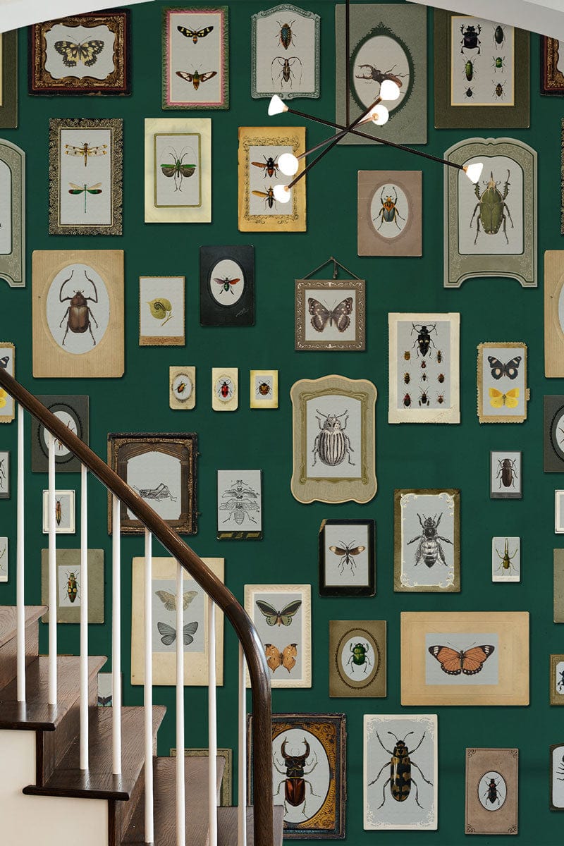 Vintage Insect Wallpaper in stairwell, showcasing green retro design with nature-themed framed artwork.