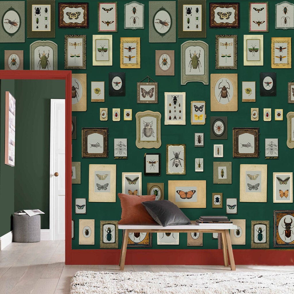 Vintage Insect Gallery Green Wallpaper on living room wall with brown trim, wooden bench, cosy rug.