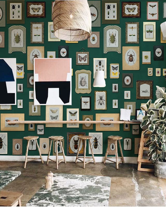 Vintage Insect Gallery Green Wallpaper in artsy room with stools, abstract art, retro gallery wall.