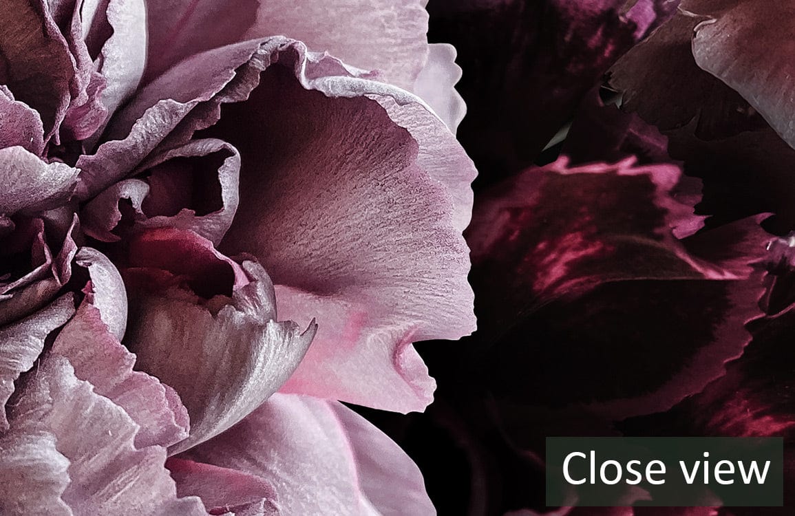 Close view of Luxury Dark Floral Wallpaper featuring elegant pink and purple blooms design.