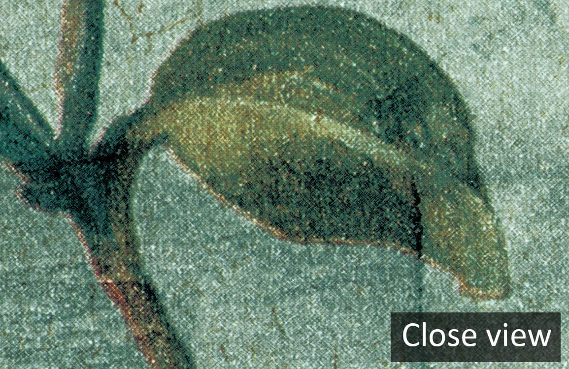 Close-up of Vintage Teal Floral Hummingbird Mural Wallpaper detail in botanical art decoration.