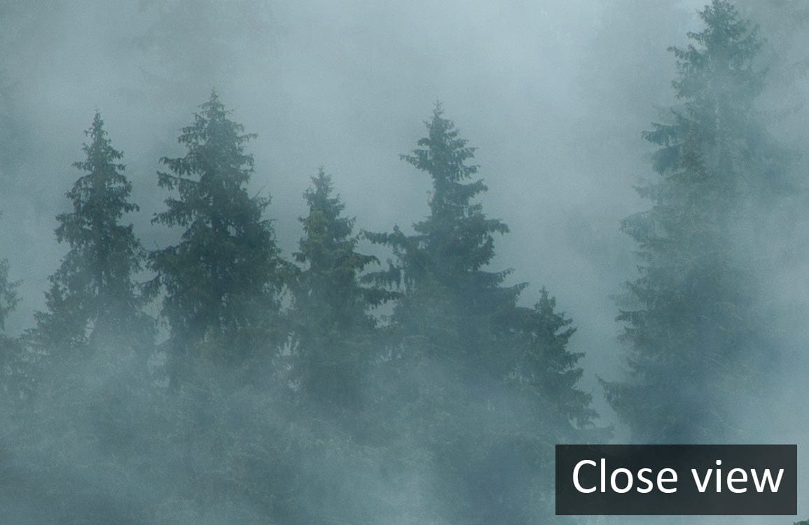 Enchanted Misty Forest mural wallpaper, serene green trees, forest scene, close view, atmospheric design.