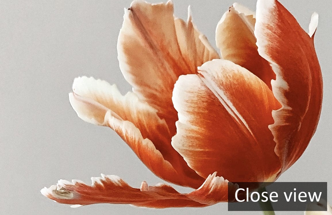 Close view of elegant vintage tulip mural wallpaper in soft orange and green, highlighting floral details.